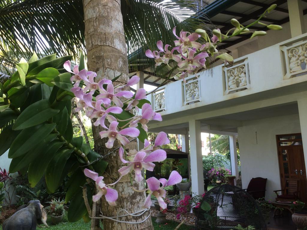 Karl Holiday Bungalow Kalutara Exterior photo