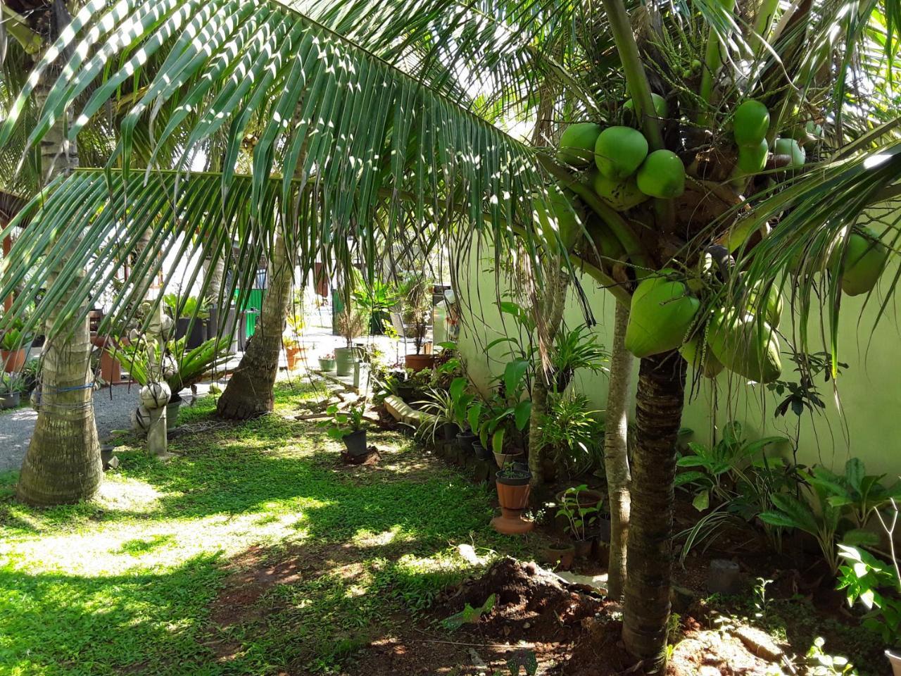 Karl Holiday Bungalow Kalutara Exterior photo